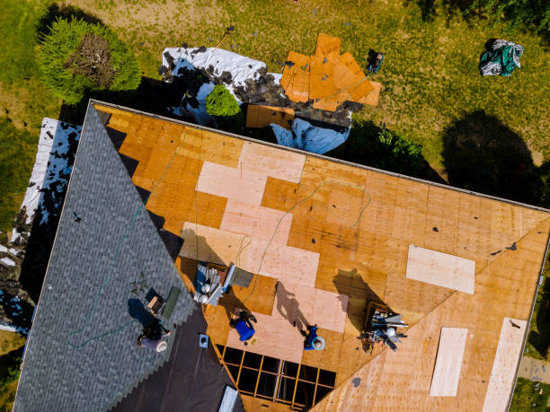 Best Storm Damage Roof Repair  in Beach Park, IL
